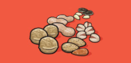 walnuts, peanuts, almonds, pistachios, sunflower seeds